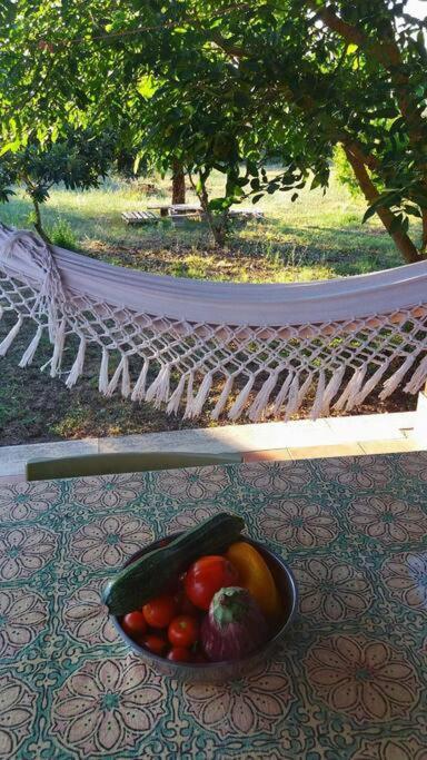 Country House Tra Lago E Mare A Sud Di Roma Campoleone Exterior foto