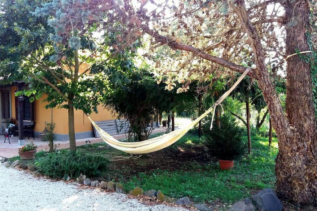 Country House Tra Lago E Mare A Sud Di Roma Campoleone Exterior foto